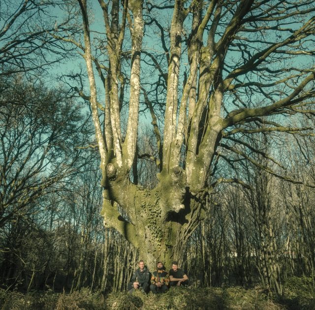 Brais-Ninguen-Couto-90-Roots-Shadows-cover